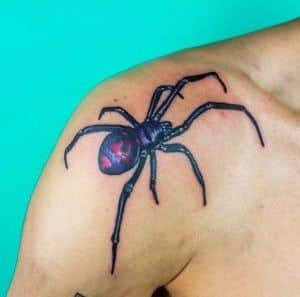 Estudios de tatuajes en Valencia - Tatuaje araña en el hombro