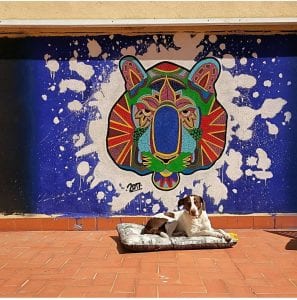 Grafiteros de Valencia - Mandala Salvaje