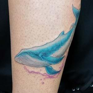 Estudios de tatuajes en Madrid - Tatuajes Animales: Tatuaje Ballena a Color