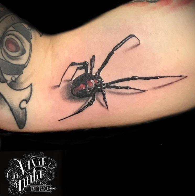 Estudios de tatuajes en Jerez de la Frontera - Tatuaje araña realismo