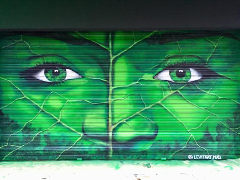 Mural en persiana metálica: Bioface