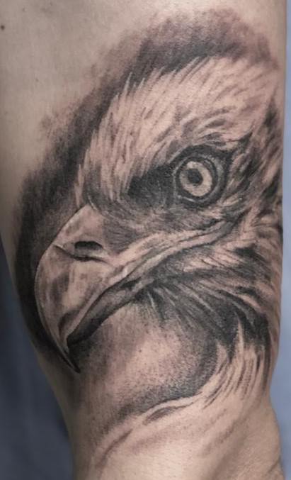 Tatuaje águila