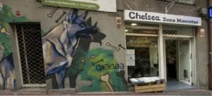Graffiti comercial en Barcelona - Decoración negocio veterinaria con mural decorativo