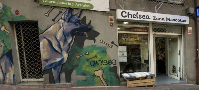 Decoración negocio veterinaria con mural decorativo