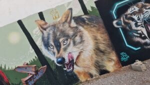 Graffiti comercial en Gijón - Graffiti lobo